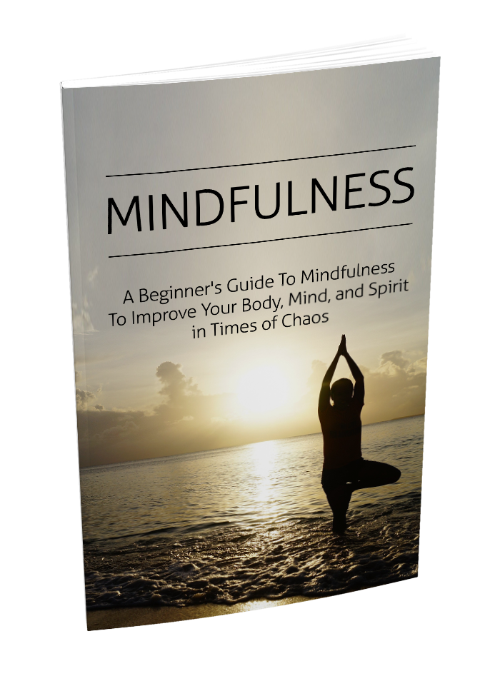 Mindfulness beginner's guide eBook