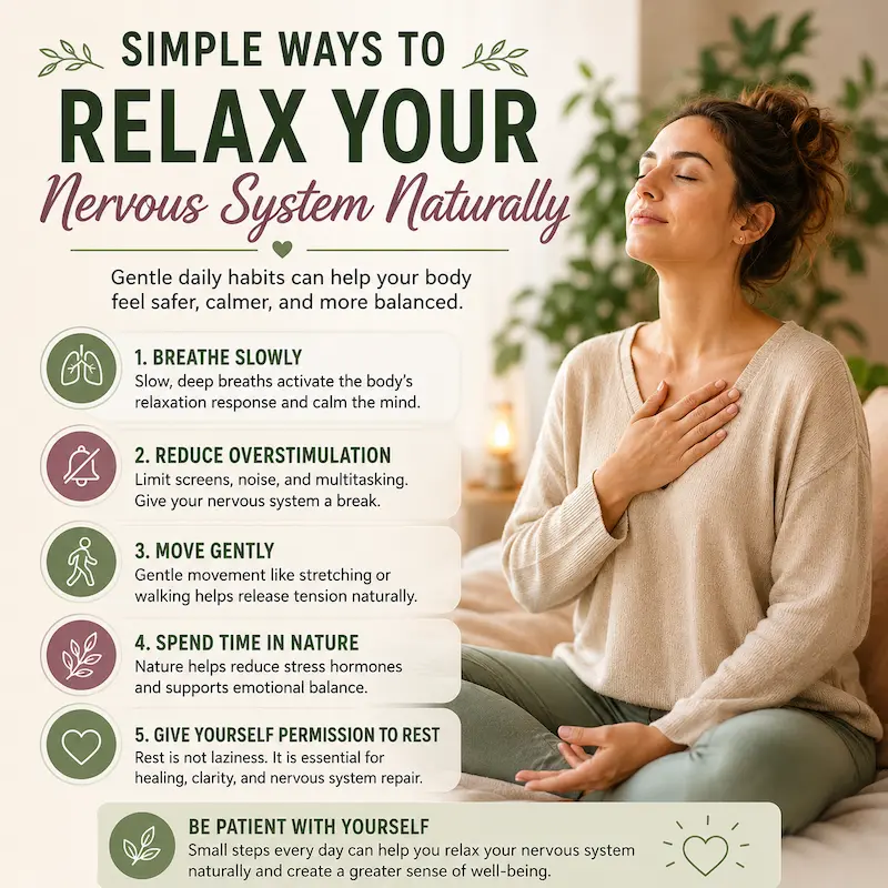 Simple ways to relax your nervous system naturally through breathing, rest, movement, and quiet daily habits