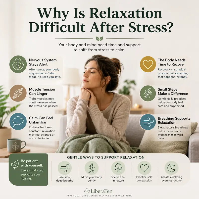 Why is relaxation difficult after stress? Illustration showing nervous system recovery, muscle tension, and gentle relaxation techniques.